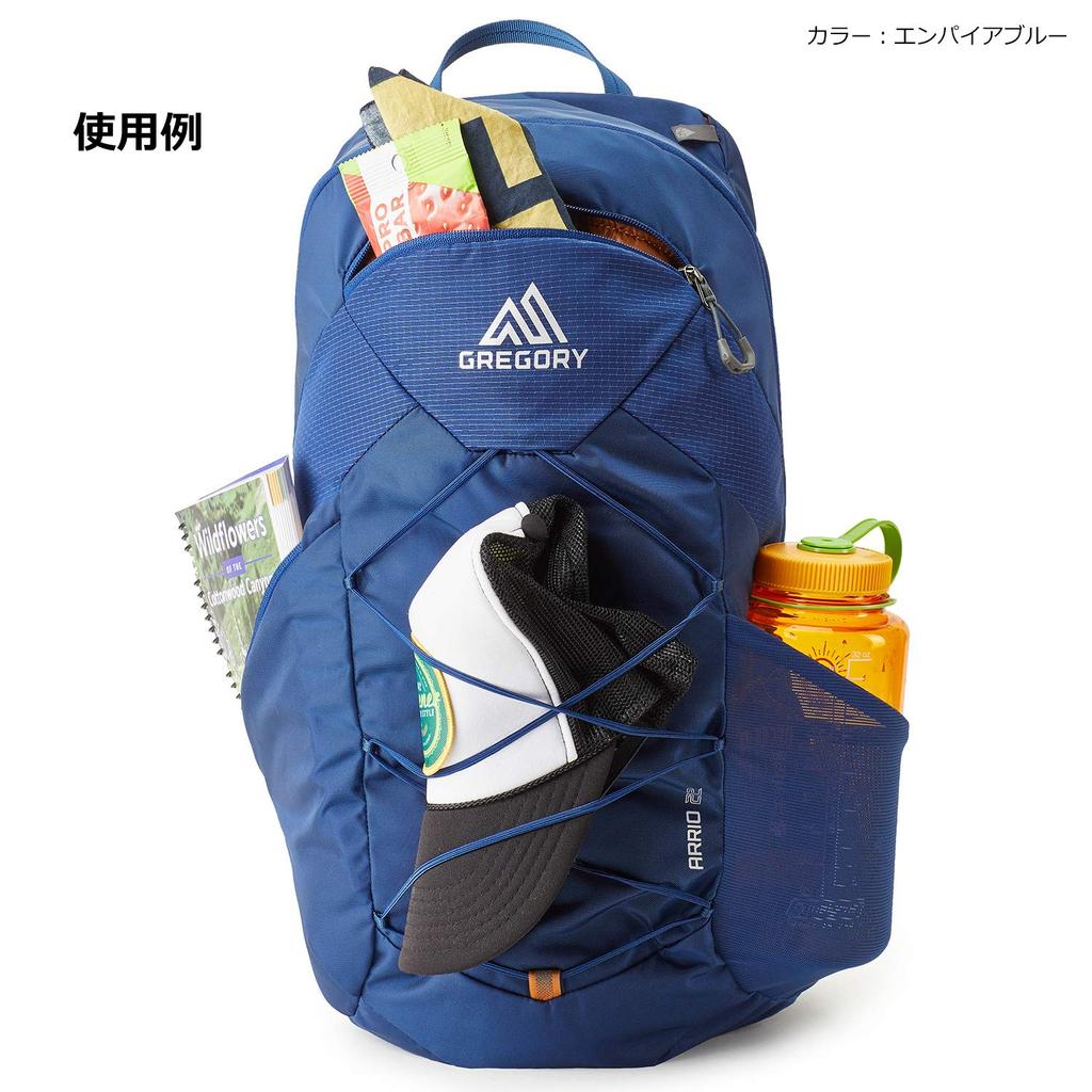 Backpack Ario 22 Frame Black Free Size [Gregory]