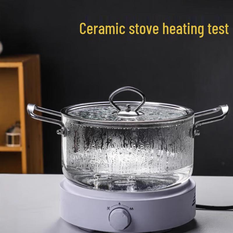 Triceratops High Borosilicate Glass Soup Pot