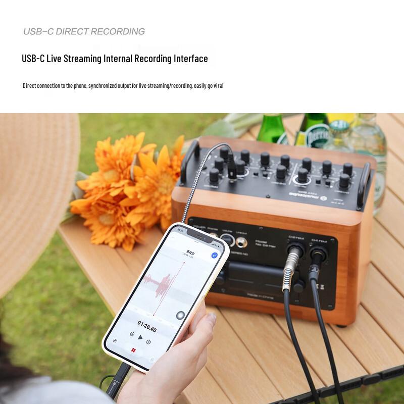 Music Knight D2MAX Portable Instrument & Karaoke Speaker (CN version)