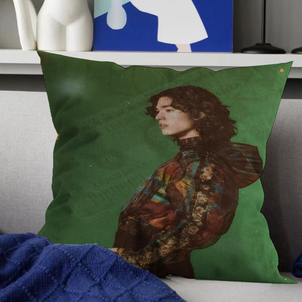 Pop Singer Conan Grays World Tour Decorative Room Aesthetics Pillow Case Home Decor Bedroom Sofa Bed Couch Pillow Cover 45x45