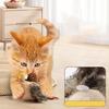 Life Like Bird Sound Cats Toy Safe Plush Bird Toy With Automatic Chirping for Cats Entertainment Indoor Engagement Toy