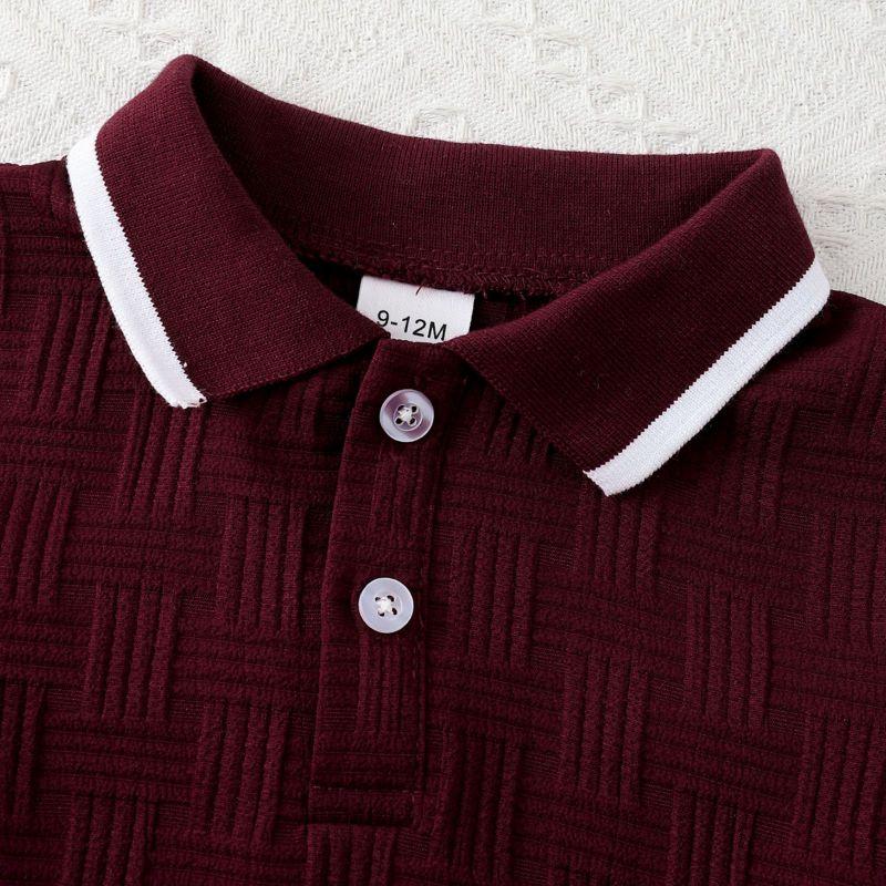 Toddler Boys Summer Lapel Short Sleeve Top and Shorts