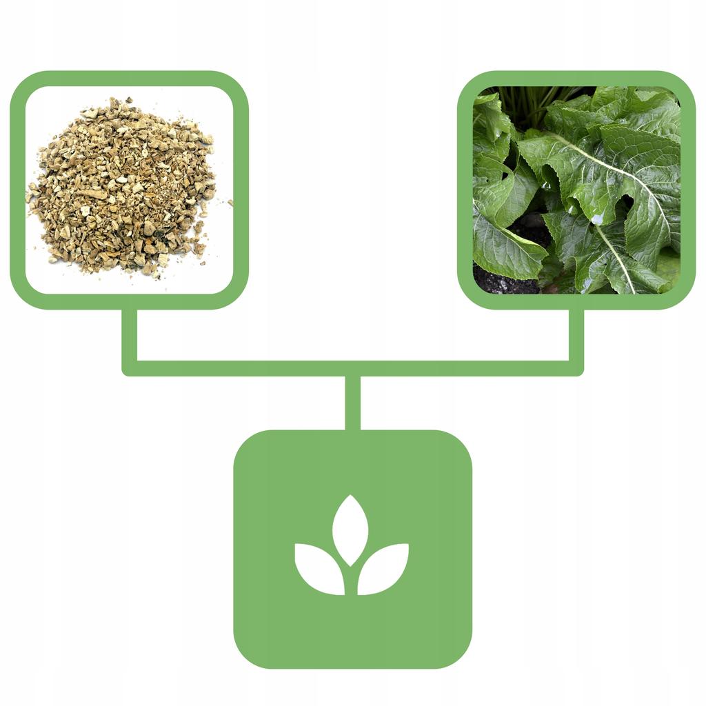 Radice di Rafano 500 G Negozio Naturale