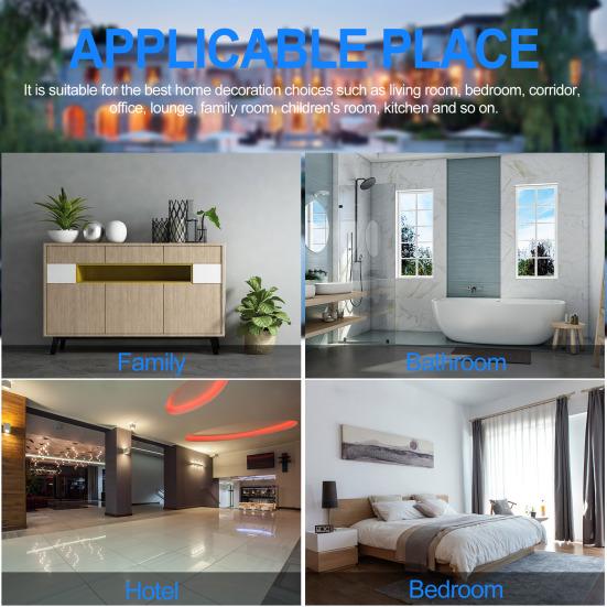 36W 110V RGB Ceiling Light Dimmable Night Ambience Light LED Color Changing Lamp
