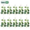 10-100PCS 3 Kinds Eucalyptus Leaves  Artificial Silver Dollar Leaves Picks Dried Eucalyptus Home Decoration Party Decoration