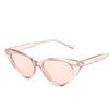 Vintage Cat eye Sunglasses Women Sexy Retro Small Cat Eye Sun Glasses Brand Designer Colorful Eyewear For Female