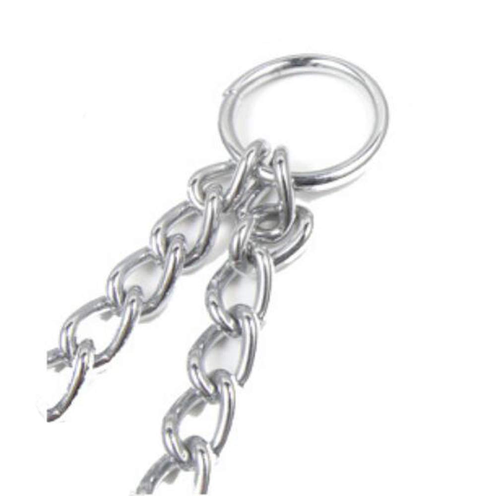 STK Double Pull Dog Metal Pet Chewing For Medium and Small Walking x Set of Lead, Lead, Resistant, Durable, Strong, Tangle-Free, Dogs, (2.5mm 40cm, 1)