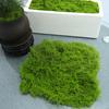 30/100G Artificial Green Moss DIY Crafts Indoor Plants Fairy Gardens Table Centerpieces Fish Tanks Microlandscape Decorative Fake Moss