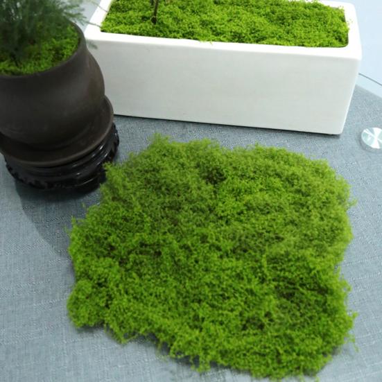 30/100G Artificial Green Moss DIY Crafts Indoor Plants Fairy Gardens Table Centerpieces Fish Tanks Microlandscape Decorative Fake Moss