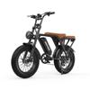 Deepower V8 Electric Dirt Bike with Dual Seat, 48V 20AH Battery, 20"x4.0" Fat Tires