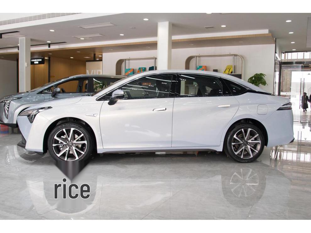 Compatible with New Energy Vehicles: AION Wheels, 17-18 Inch Aion Yplus, Aion VS Alloy Rims, and Spare Tires.