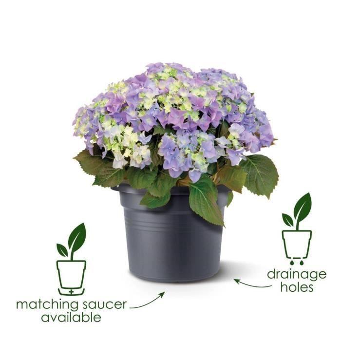 ELHO Pot de fleurs Green Basics Cilinder - Ø 64 x H 49 cm - Extérieur - 100% recyclé - Noir