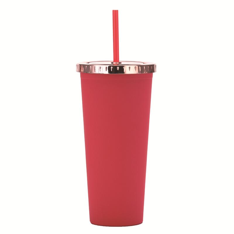 Plastic Water Cup Fashionable Rose Gold Cover Matte Multi-Color Double-Layer Plastic Straw Cup