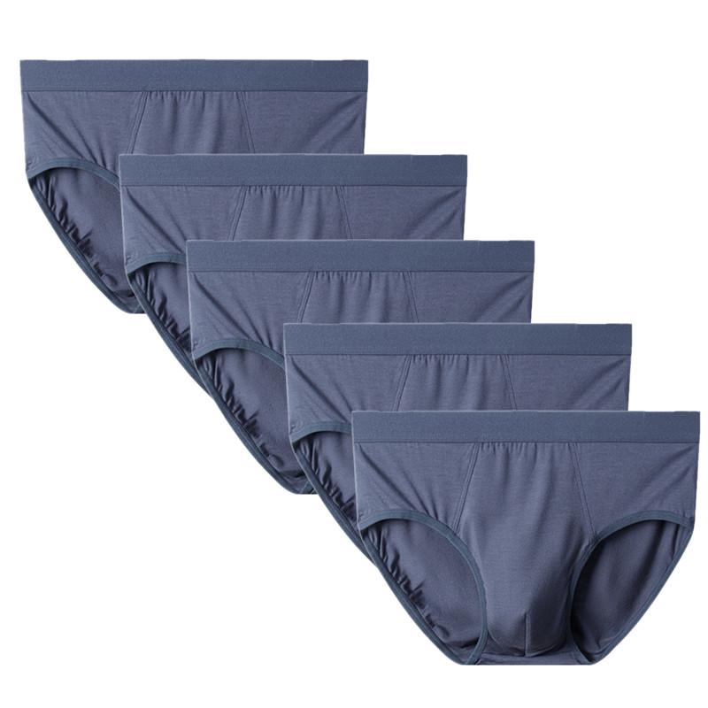 

5 ШТ Чоловічі Труси Дихаючі Трусики Нижня Білизна Середня Посадка L XL 2XL 3XL 4XL 4XL