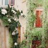 DIY Artificial Rose Flower 52cm Rose Vine Photography Props Flower Arrangement  Home