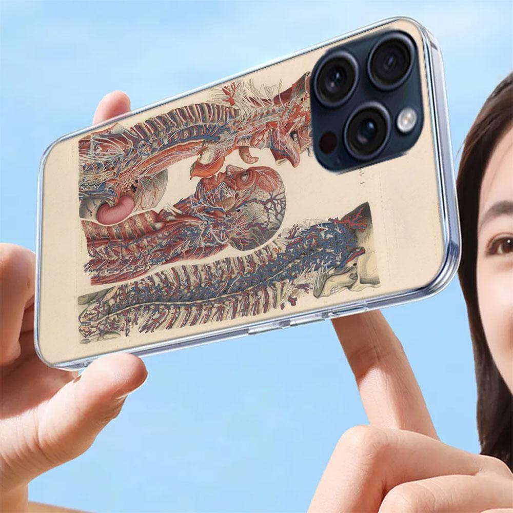 Medizinische menschliche Organe Gehirn Capa Handyhülle Für Iphone 17 Air 16 Pro Max 15 12 Pro 14 Plus 17E 16E 11 13 Mini Hüllen Fundas