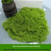 Artificial Moss Silk Grass Lawn for Landscaping and Decoration
