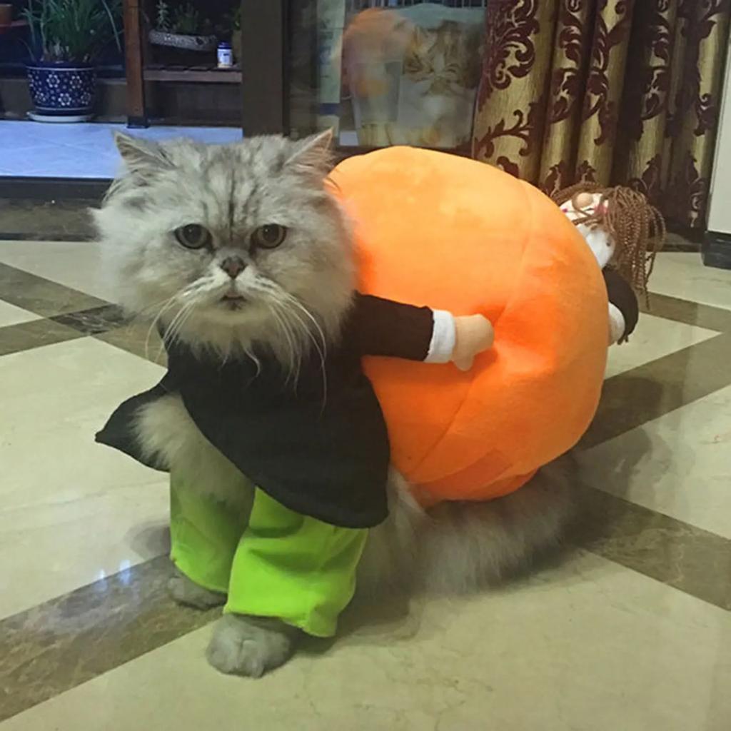 Halloween Pumpkin Funny Pet Clothes Cat Pet Costume Cosplay Special Events Clothing Suit Dog Cute Carrier Pumpkin Costumes