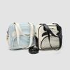 Female Bag Cartoon Cute Panda Pop Transparent Pain Bag Soft Sister Crossbody Bag