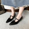 Fashion Elegant Pointed Toe Mary Jane Shoes Women's Spring Autumn New Style Thin Medium Heel Leatherette Single Shoes Buckle Strap
