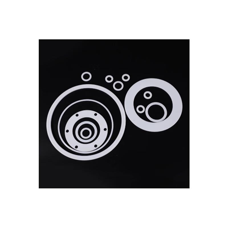 XQJNX PTFE Gasket PN16 DN100 RF
