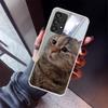 Pet Cat Funny Memes Phone Case For Samsung Galaxy A12 A52S A42 A32 A22 A51 A50 Note 20 Ultra 10 S10 Plus A71 A70 A31 A30 A10S Ga
