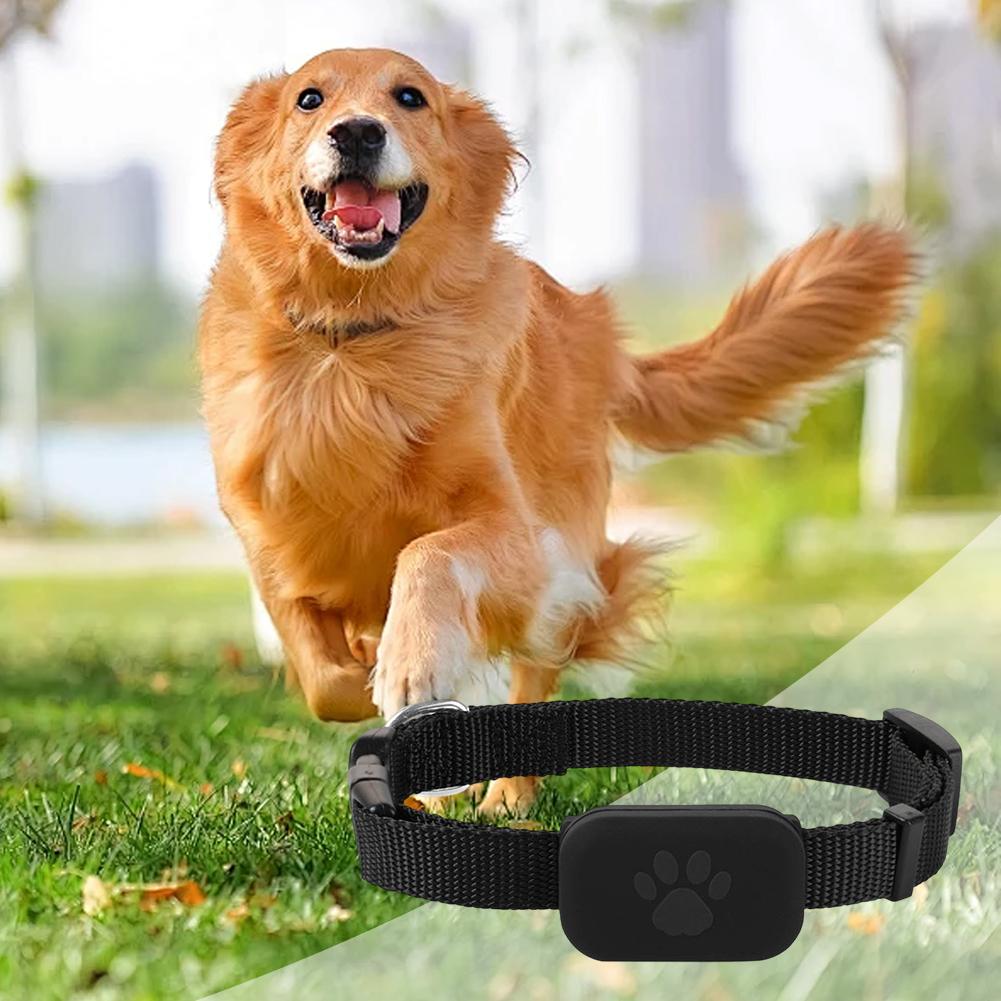 Pet Tracker Pet GPS Tracker with Adjustable Collar Cat Locator Smart Pet Locator for Cats Dogs cat gps tracker