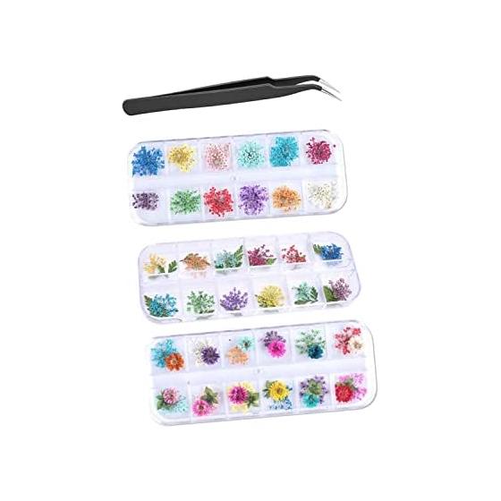 YFFSFDC Nail Art Parts, Dried Flowers, Nail Pressed Flowers, 36 Types, 3 Box Set, Dried Flowers, Lace, 3D Nail Decoration, DIY Nail Parts, Pressed