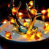 LED Pinecone Acorn String Lights, Hazelnut Ambiance String Lights, Night Lights for Indoor Rooms, Flashing Lights for Holiday Ha