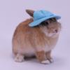 Felt Small Animals Bucket Cap With Ear Holes Pet Clothing Accessories Hamster Fisherman Hat Breathable Lightweight