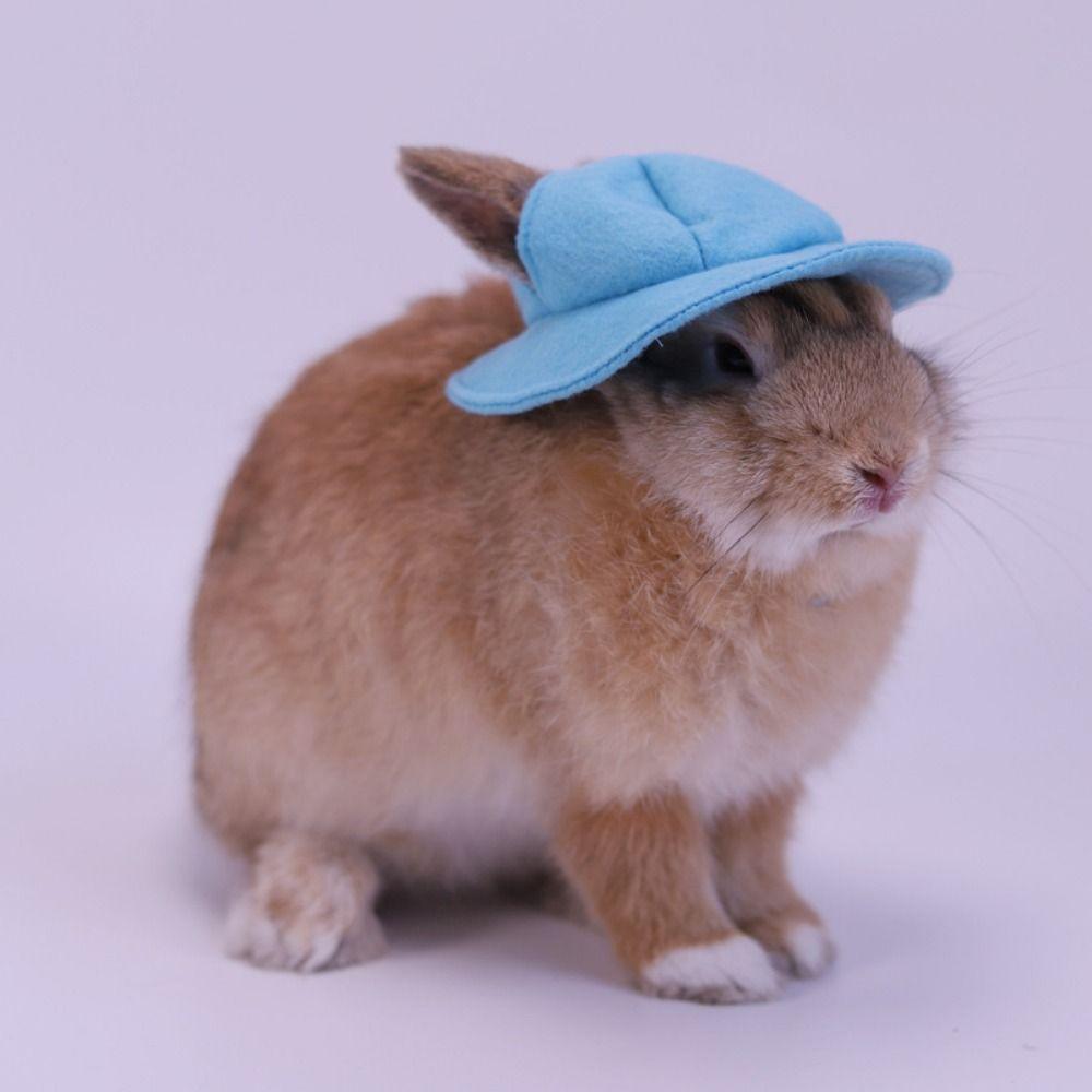 Felt Small Animals Bucket Cap With Ear Holes Pet Clothing Accessories Hamster Fisherman Hat Breathable Lightweight