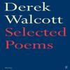 Selected Poems of Derek Walcott by Derek Walcott Paperback Book 9780571227112