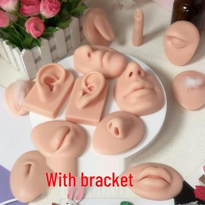 Silicone Ear Nose Lip Feature Model for Display and Training with Stud Holders