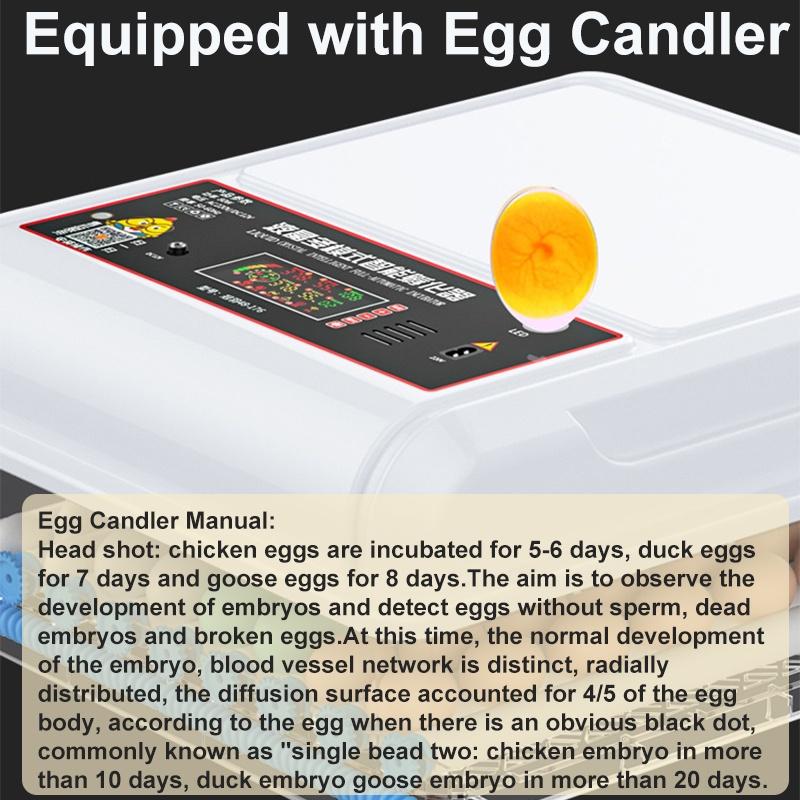 56 Eggs Fully Automatic Hatching Machine Incubator Farmer Chicken Brooder Hatcher with Automatic Turner Smart Control 220V
