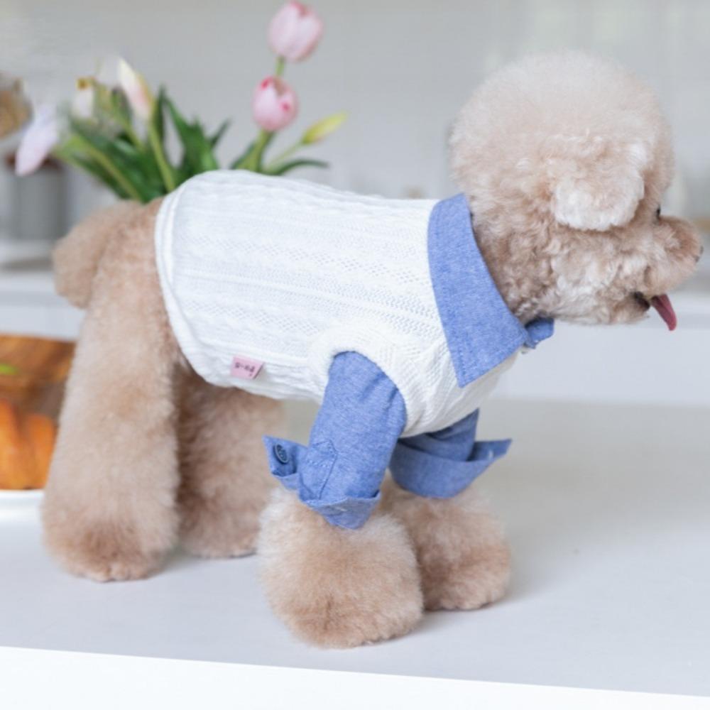 Autumn and Winter Woolen Vest Vest Pet Knitted Vest Cat Shirt Pet Clothing Teddy Bear Dog Clothes for Small Dogs Puppy Clothes