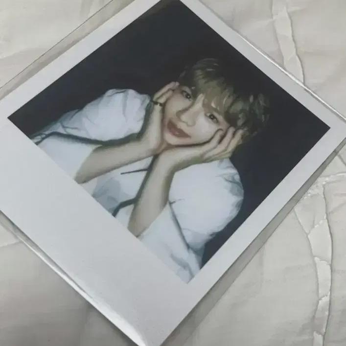 

Riize Shotaro 2024 Season s Greetings Polaroid Sealed