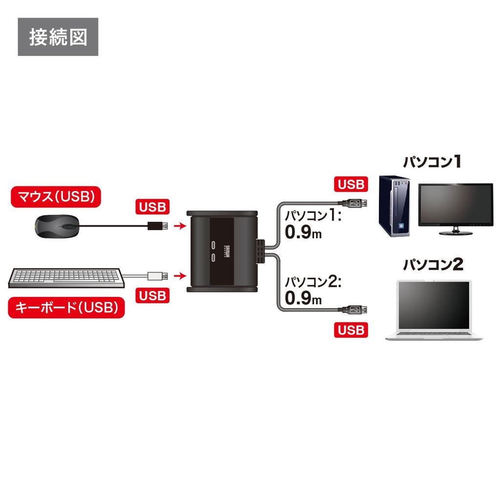 Sanwa Supply SW-KM2UU Keyboard and Mouse Switch (2:1)