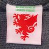 FA Wales Knitted Beanie