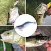 13.5CM/19.8G Luminous Fishing Shrimp Lure with Sharp Squid Hook Glow In The Dark Realistic Colorful Artificial Shrimp Hard Bait Fishing Accessories