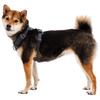 RUFFWEAR Front Range Blaze Harness, Orange, XX-Small