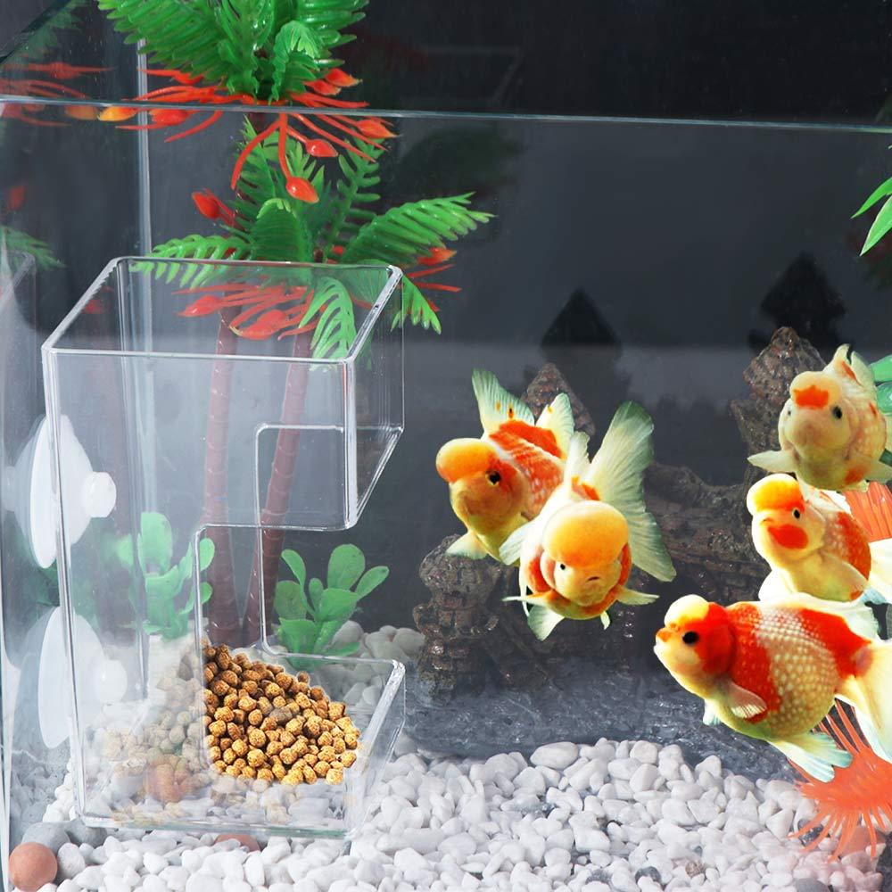 Transparent Station Floating Food Tray Square/Circle Aquarium Feeding Ring  Fish Tank