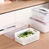 Fridge Organizer for Sorting Vegetables Refrigerator Storage Box Kitchen Tool