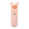 Facial Mister Handheld 18ML Water Tank Nano Mist Sprayer for Outdoor Travel Camping Hiking Bear