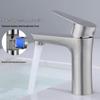 Qidanna 304 Stainless Steel Hot and Cold Faucet