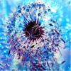 Diamond Painting Kit Flower Landscape 5D DIY Diamond Embroidery Sale Dandelion Pictures Of Rhinestones Handicraft