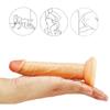 Realistic Penis Big Dildo Silicone Flexible With Suction Cup Artificial Penis Female Masturbator Sex Toys