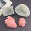 Silicone Brain & Heart Candle Mold Realistic Organ Shape Mold for Epoxy Resin Fondant Soap Easy-Release DIY Craft Mold