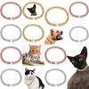 Glamorous Gold Dog Collar Necklace With Sparkling Rhinestones