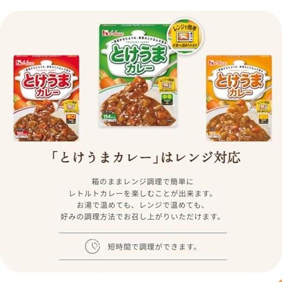 House Tokeuma Curry Spicy 170g 10 Pieces Microwave Compatible Retort Food Emergency