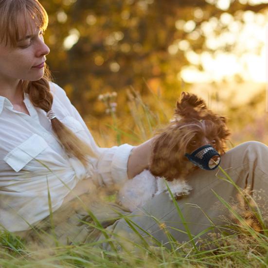 Muso in Rete per Cani a Muso Corto Muso Regolabile Permette di Ansimare